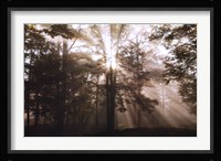A New Day II Fine Art Print