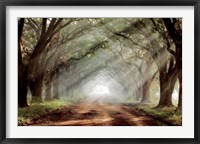 Evergreen Plantation A Fine Art Print