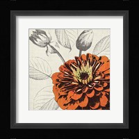 A Touch of Color I Fine Art Print