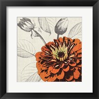 A Touch of Color I Framed Print