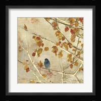 Singing II Framed Print