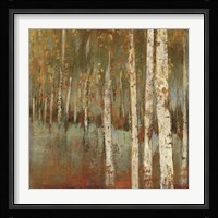 Along The Path I Framed Print