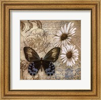 Butterfly Garden I Fine Art Print