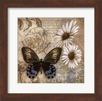 Butterfly Garden I Fine Art Print