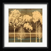 Ambiance I Framed Print
