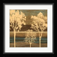 Ambiance II Framed Print