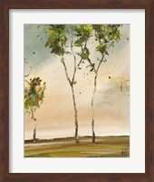 Calli Trees II Fine Art Print