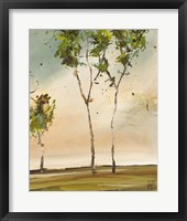 Calli Trees II Framed Print