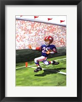 Touchdown Framed Print