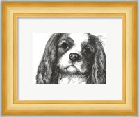 Louie the Cavalier King Charles Fine Art Print