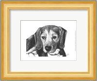 Lindy the Beagle Fine Art Print