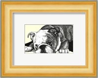 Gracie the Bulldog Fine Art Print