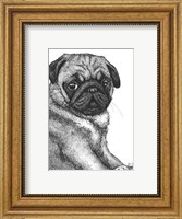Ralph the Pug Fine Art Print