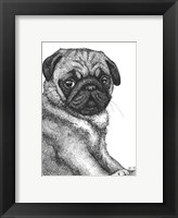 Ralph the Pug Fine Art Print