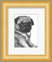 Ralph the Pug Fine Art Print