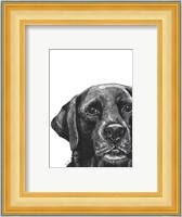 Millie the Black Lab Fine Art Print