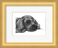 Charlie the Cocker Spaniel Fine Art Print