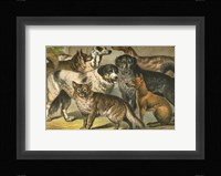 Johnson's Dog Breeds I Framed Print