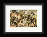 Johnson's Dog Breeds II Framed Print