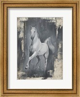 Running Stallion II Fine Art Print