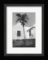 Bermuda Shade Fine Art Print