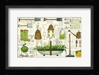 Garden Collection I Fine Art Print