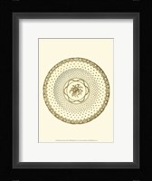 Sevres Porcelain VIII Framed Print