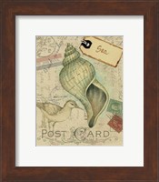 Postcard Shells II Fine Art Print