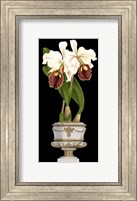 Small Orchids in Silver (IP) I Fine Art Print