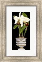 Small Orchids in Silver (IP) II Fine Art Print