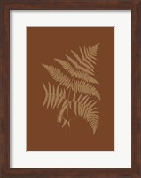 Sepia Ferns on Brick (WG) III Fine Art Print