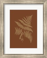 Sepia Ferns on Brick (WG) III Fine Art Print