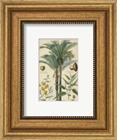 Palm Plate 29 (IP) Fine Art Print