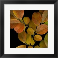 Small Vivid Leaves I Fine Art Print