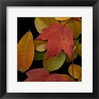 Small Vivid Leaves III Fine Art Print