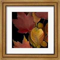 Small Vivid Leaves IV (ST) Fine Art Print