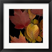 Small Vivid Leaves IV (ST) Fine Art Print