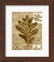 Mini Leaf Collage I (ST) Fine Art Print
