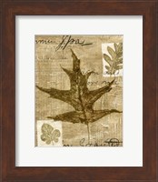 Mini Leaf Collage II (ST) Fine Art Print