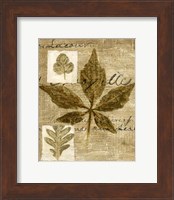 Mini Leaf Collage III (ST) Fine Art Print