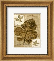 Mini Leaf Collage IV (ST) Fine Art Print