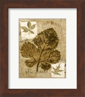 Mini Leaf Collage IV (ST) Fine Art Print