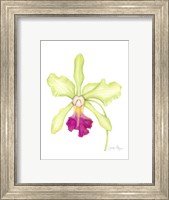 Small Orchid Beauty III (U) Fine Art Print