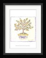French Topiary I Fine Art Print