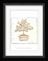 French Topiary II Fine Art Print