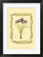 Chives Fine Art Print