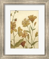 Small Wildflower Field I Fine Art Print