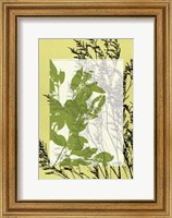 Sm Translucent Wildflowers III Fine Art Print