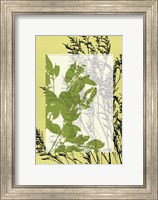 Sm Translucent Wildflowers III Fine Art Print