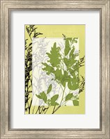 Sm Translucent Wildflowers IV Fine Art Print
